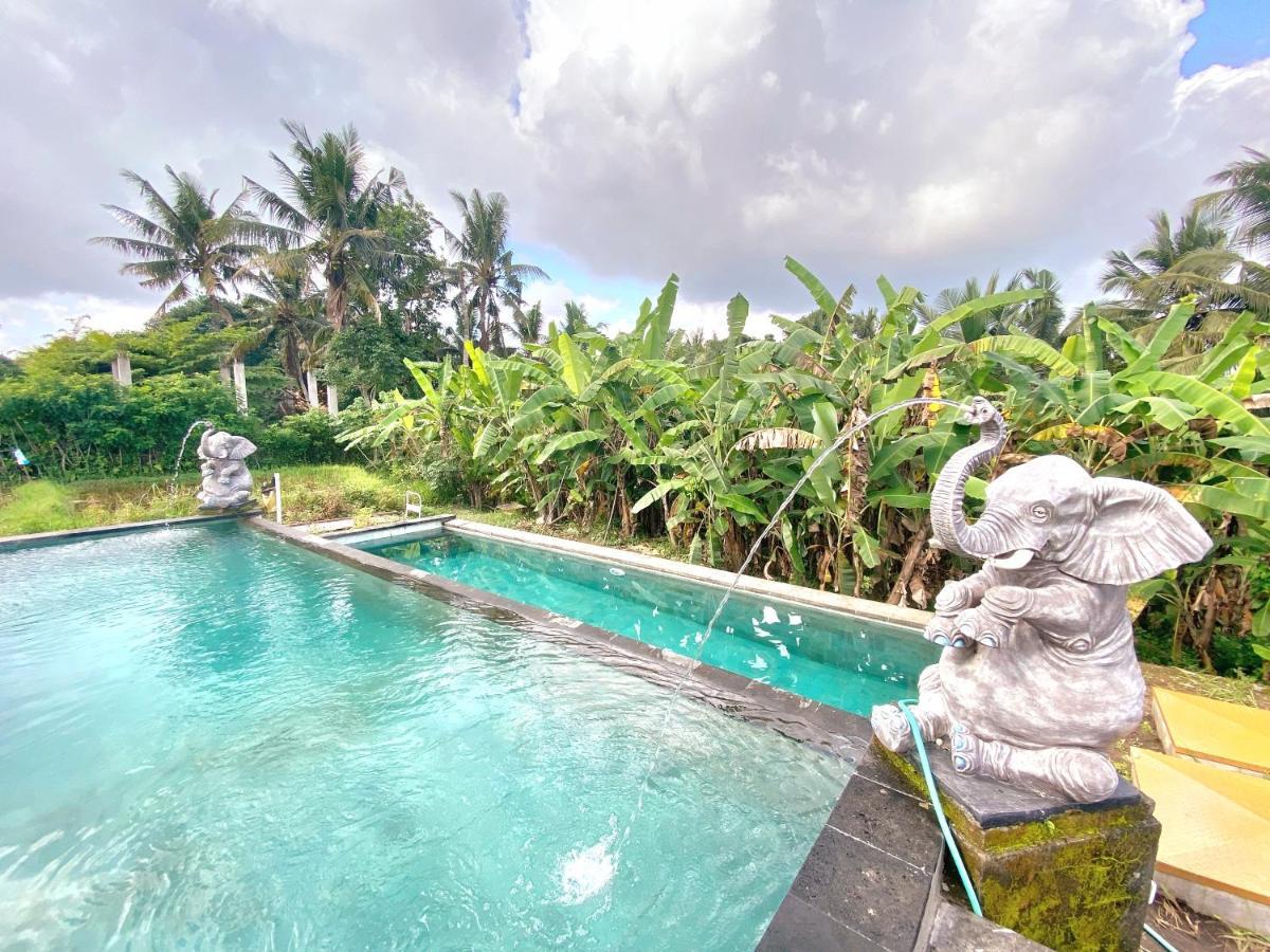 Ubud Rice Field House ภายนอก รูปภาพ