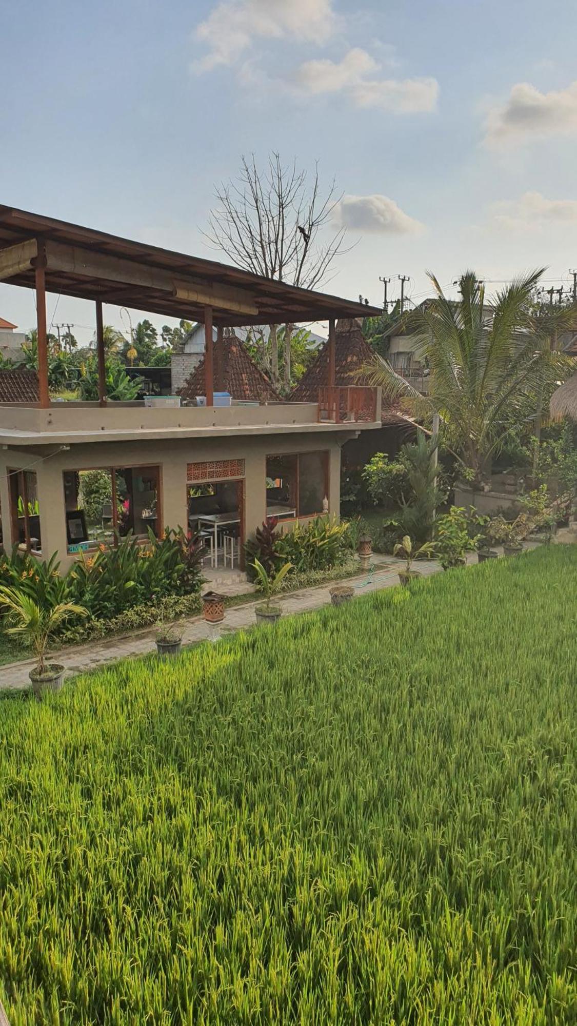 Ubud Rice Field House ภายนอก รูปภาพ