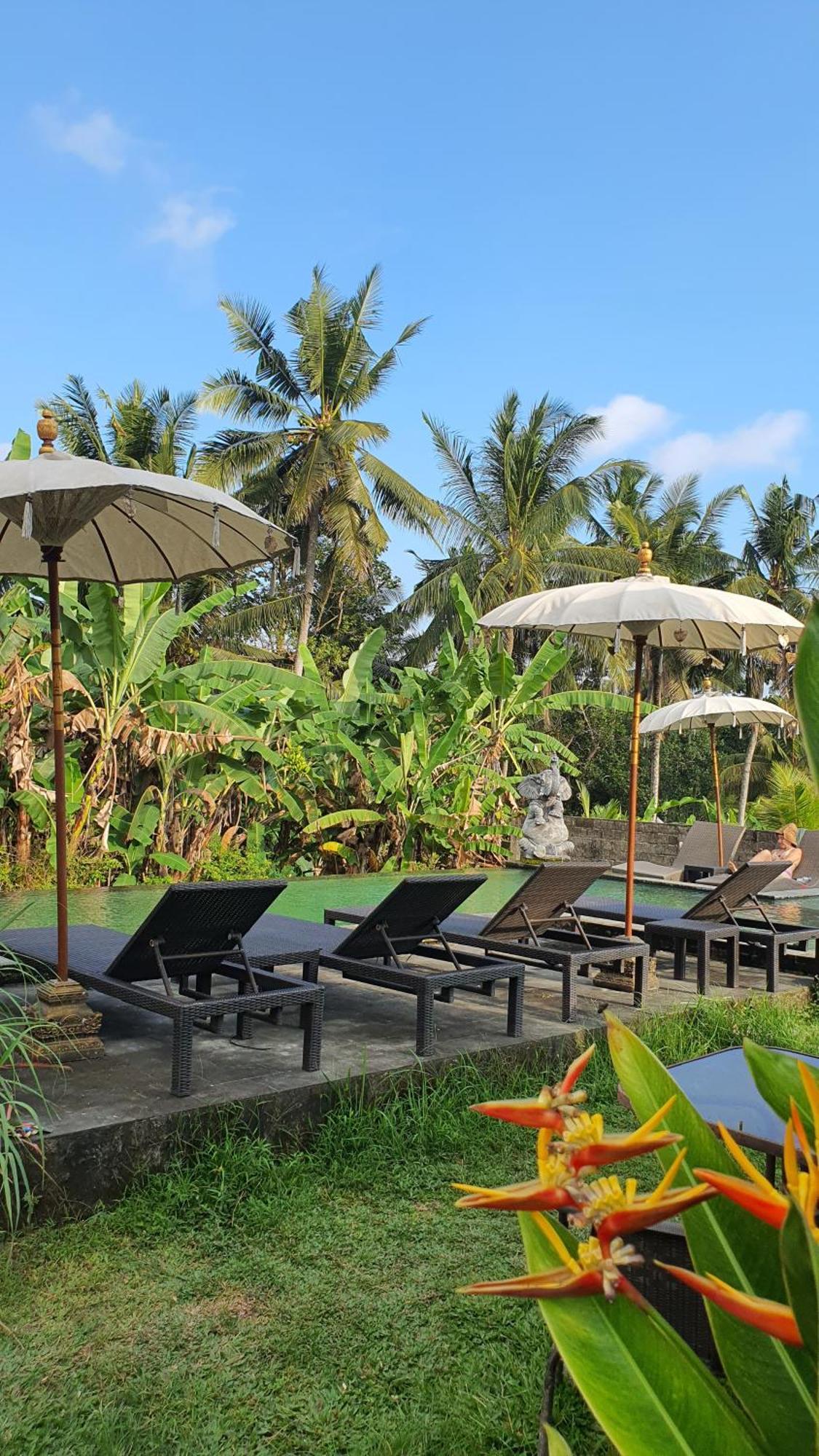 Ubud Rice Field House ภายนอก รูปภาพ