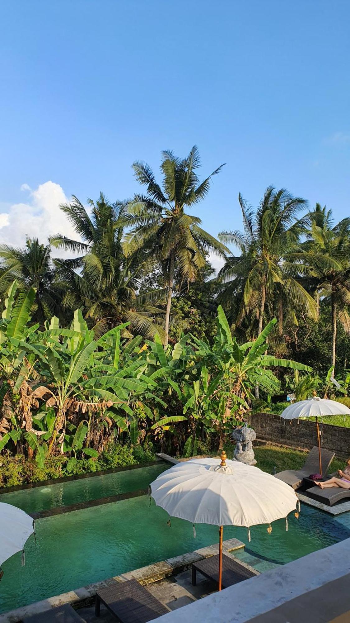 Ubud Rice Field House ภายนอก รูปภาพ